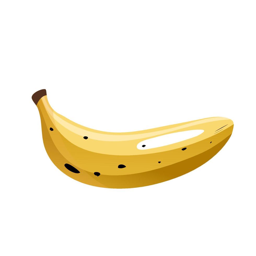 reif Banane. Vektor eben Illustration. geschlossen Frucht. natürlich Süss Vegetarier Produkt. isoliert Essen auf Weiß Hintergrund.