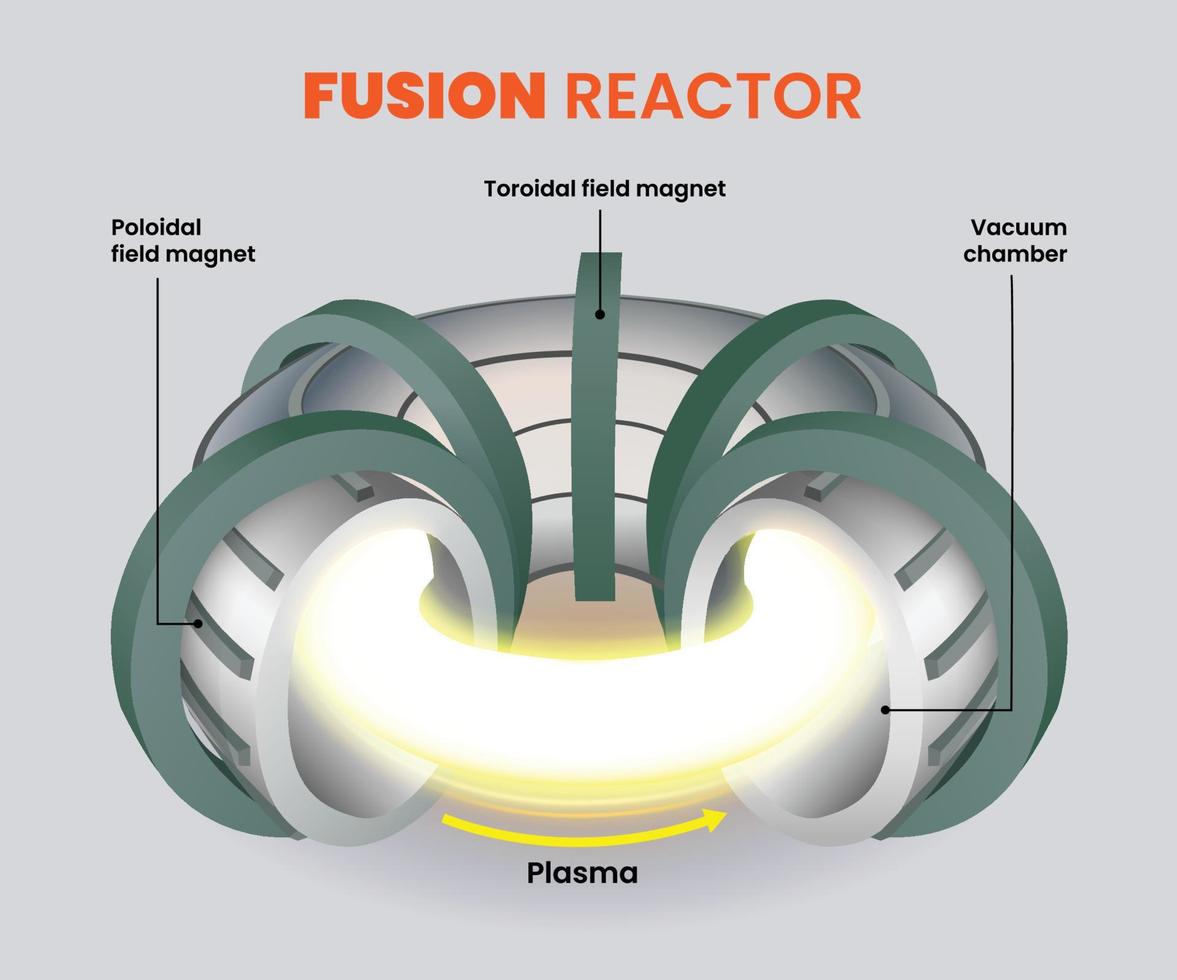 fusion reaktor diagram, magnetisk förlossning fusion illustration vektor