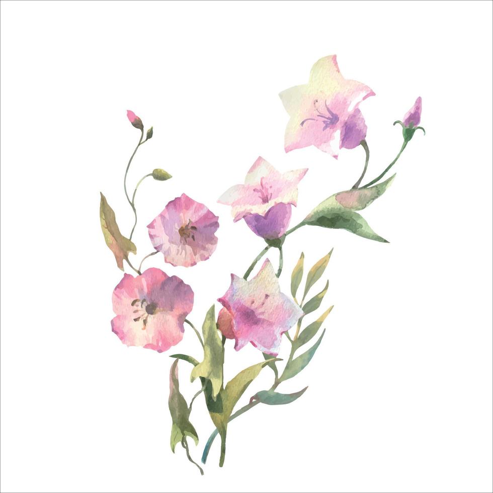 Aquarell Vektor Feld Blumen, Glockenblume Blume und Winde Strauß, isoliert auf Weiß Hintergrund