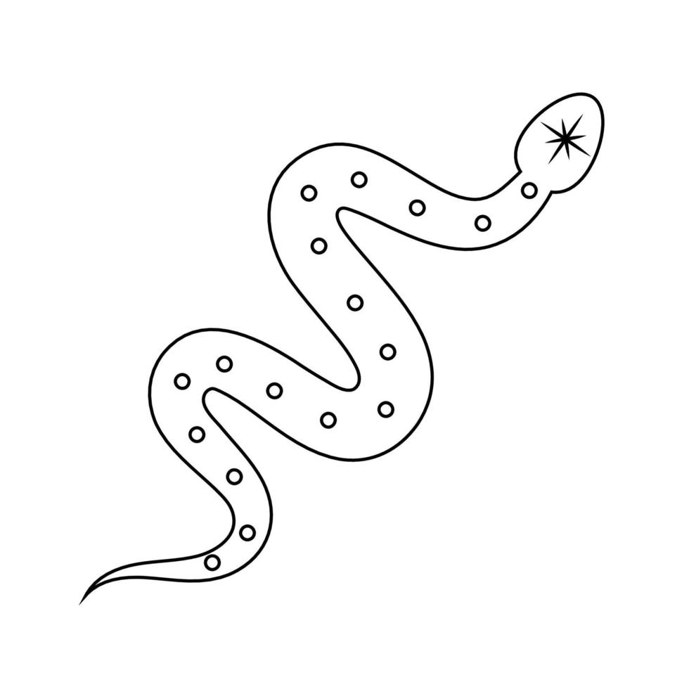 Vektor linear verdrehte Schlange mit Punkte und Stern. isoliert Hand gezeichnet Schlange auf Weiß Hintergrund