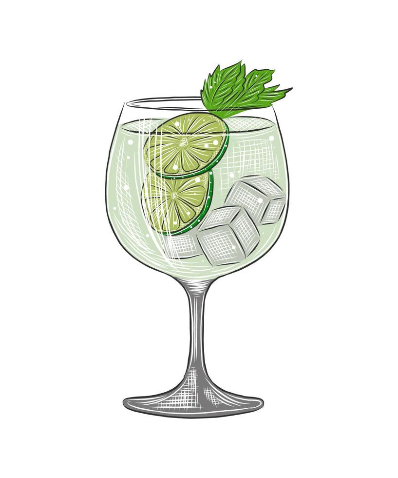 vektor graverat stil gin tonic alkoholhaltig cocktail illustration för affischer, dekoration, meny och skriva ut. hand dragen skiss av dryck eller dryck. detaljerad teckning isolerat på vit bakgrund.