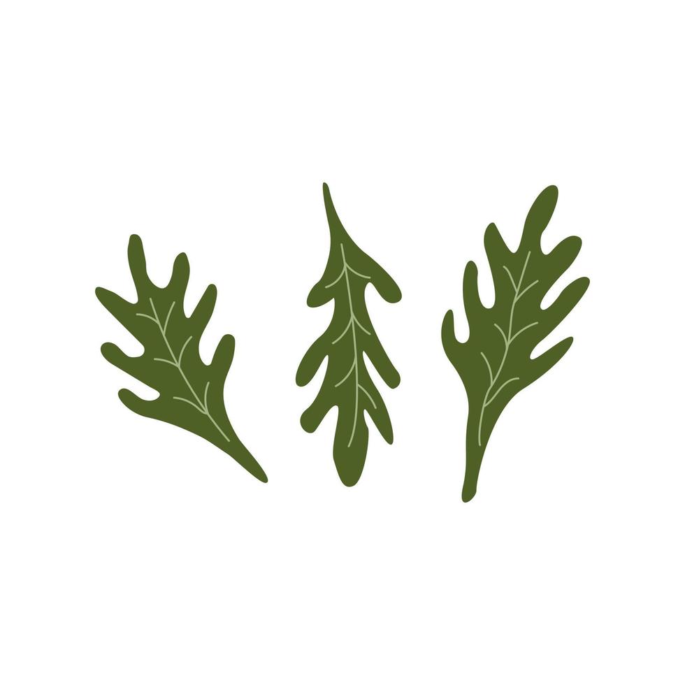 arugula sallad grön löv. rucola. vektor tecknad serie
