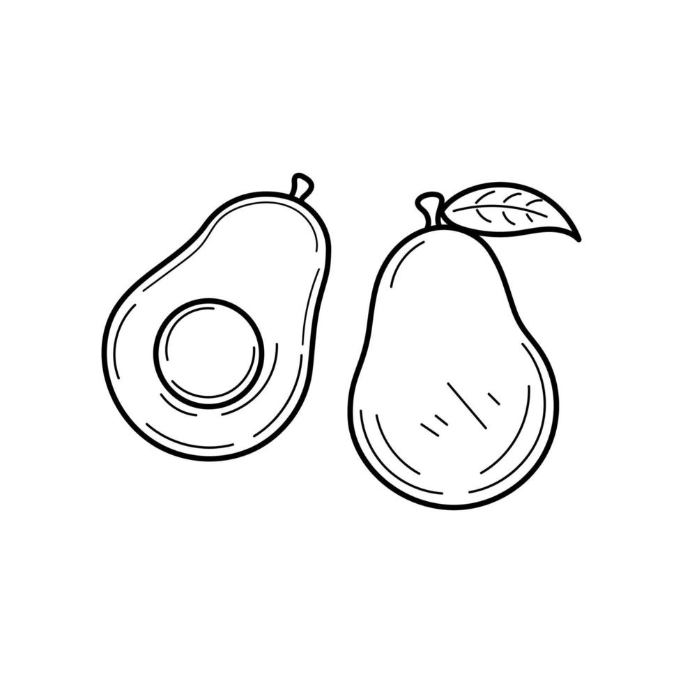 Hand gezeichnet Avocado Gekritzel Illustration vektor