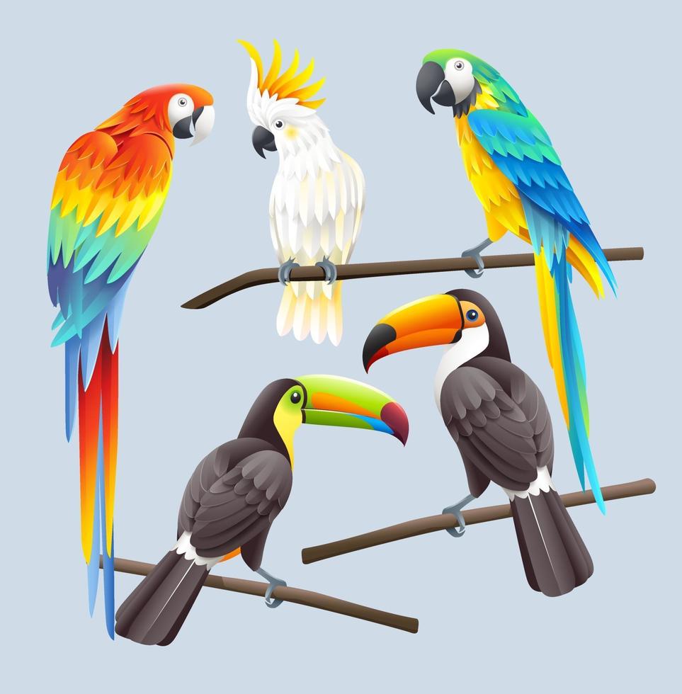 scharlakansröd ara, blå ara, vit kakadua och två toco-tukaner vektorillustration vektor
