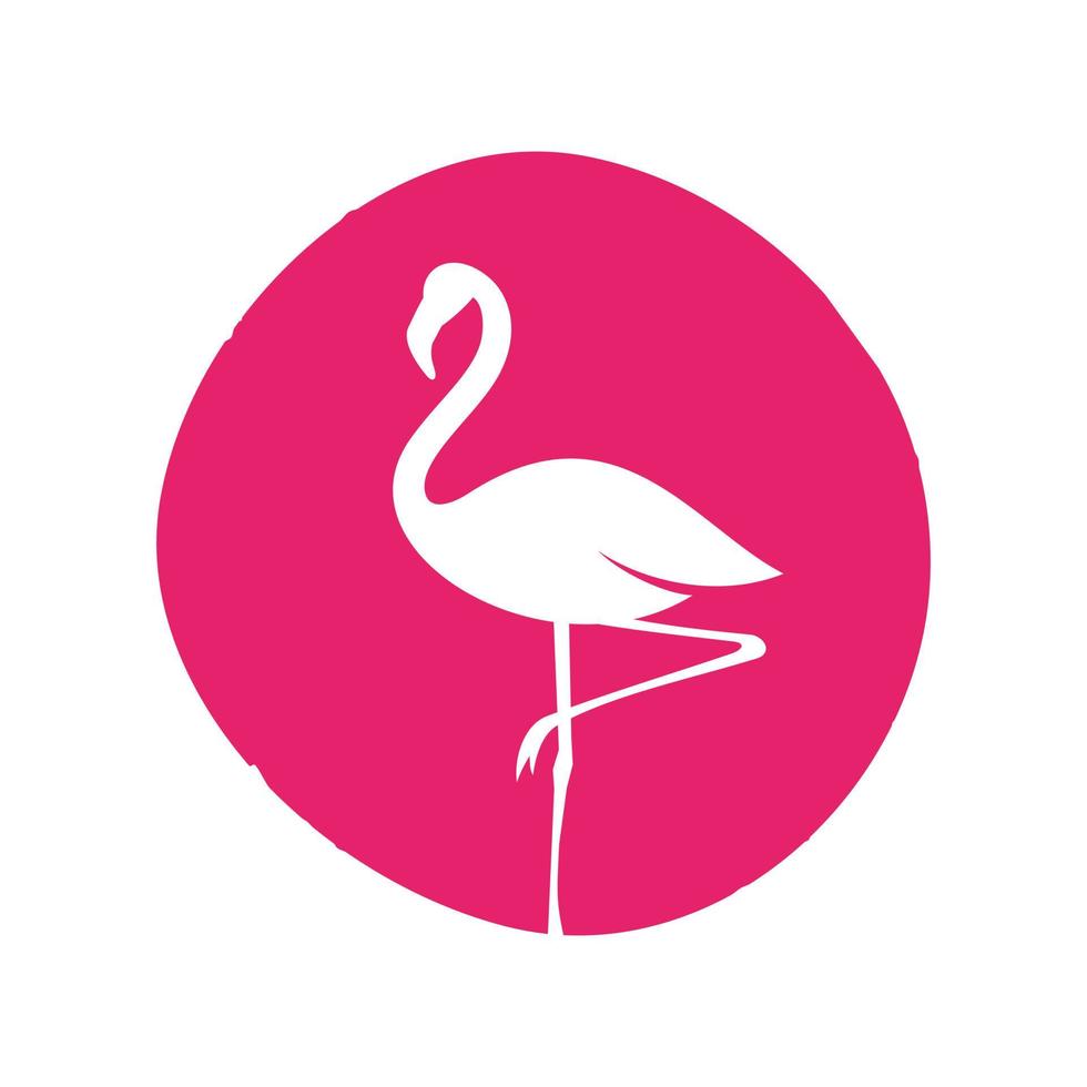 Schönheit Flamingo Logo vektor