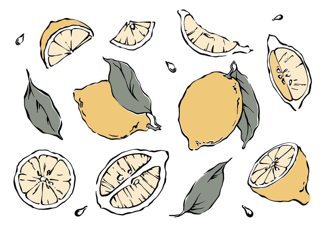 hand dragen citron- samling med skivor, löv, säden. freehand översikt teckning i pastell färger vektor illustration på vit bakgrund