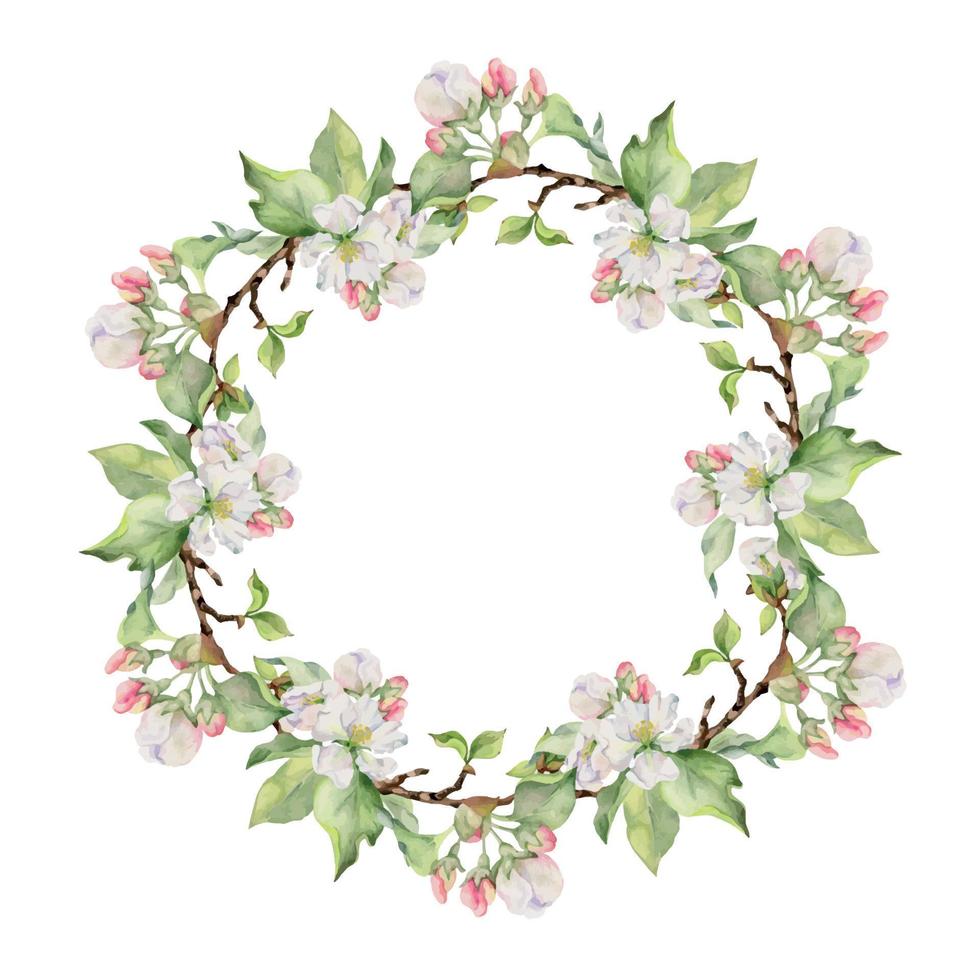 Hand gezeichnet Aquarell Apfel Blumen, Geäst und Blätter, Weiss, Rosa und Grün Blüte. Kreis runden Kranz. isoliert auf Weiß Hintergrund. Design zum Mauer Kunst, Hochzeit, drucken, Stoff, Abdeckung, Karte. vektor