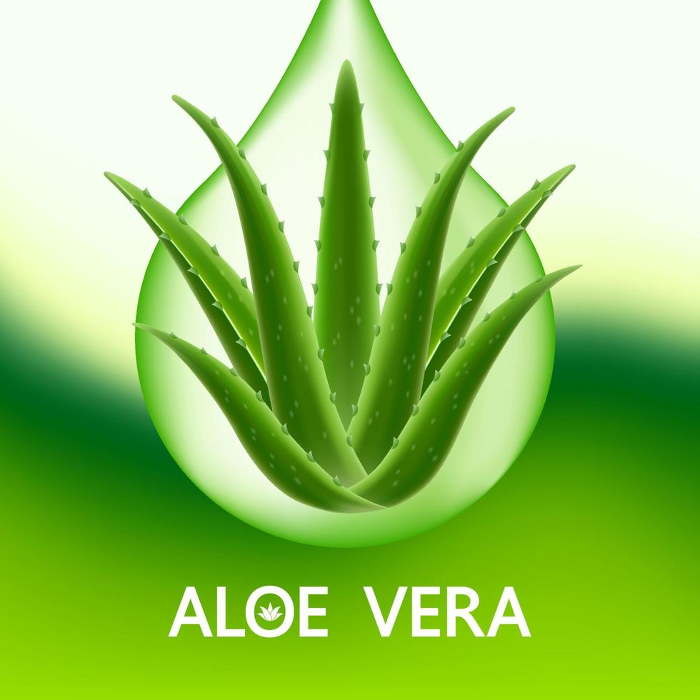 aloe vera kollagen och serum för hud vård kosmetisk vektor