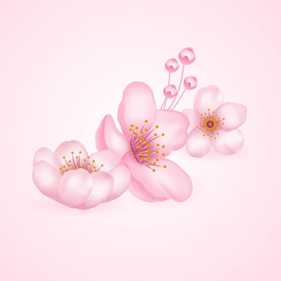 Kirsche Blüte, Sakura Ast mit Rosa Blumen Illustration. vektor