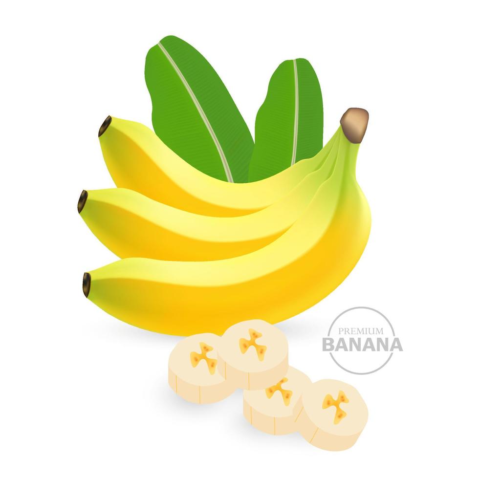 Banane frisch Obst Grafik Vektor .