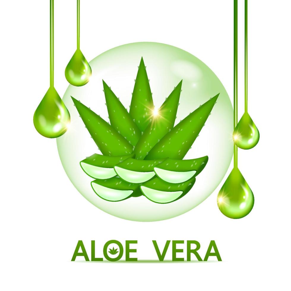 Aloe vera Kollagen und Serum zum Haut Pflege kosmetisch Vektor