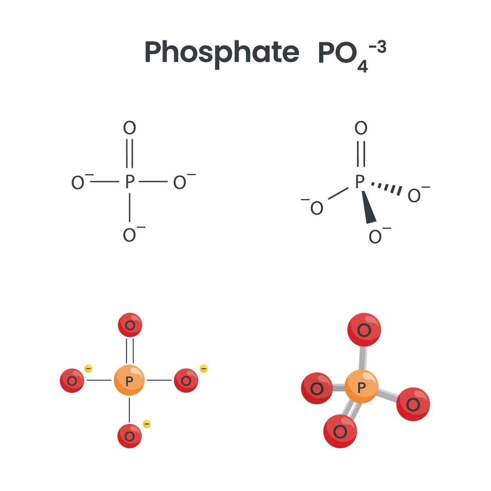 Phosphat Anion chemisch Struktur Wissenschaft Vektor Grafik