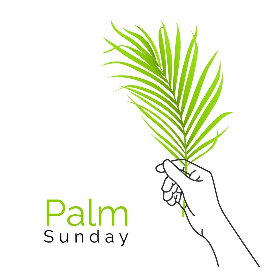 Hand halt Palme Blätter zum Palme Sonntag Feierlichkeiten. das Symbole von das Urlaub sind ein Palme Ast vektor