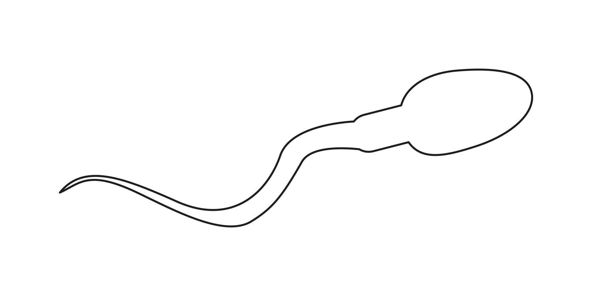 spermier ikon. mänsklig sperma cell i översikt stil. manlig fertilitet, sädesvätska testa, spermatozo analys begrepp vektor