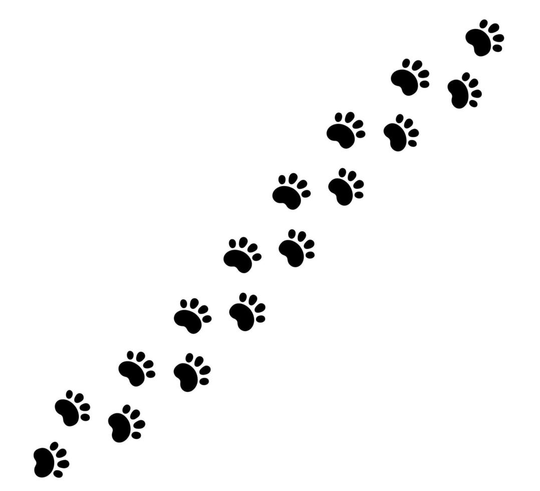 Hund Pfote drucken diagonal Linie. süß Katze Pfotenabdruck. Haustier Fuß Pfad. schwarz Hund Schritt Silhouette. einfach Gekritzel Zeichnung. Vektor Illustration isoliert auf Weiß Hintergrund