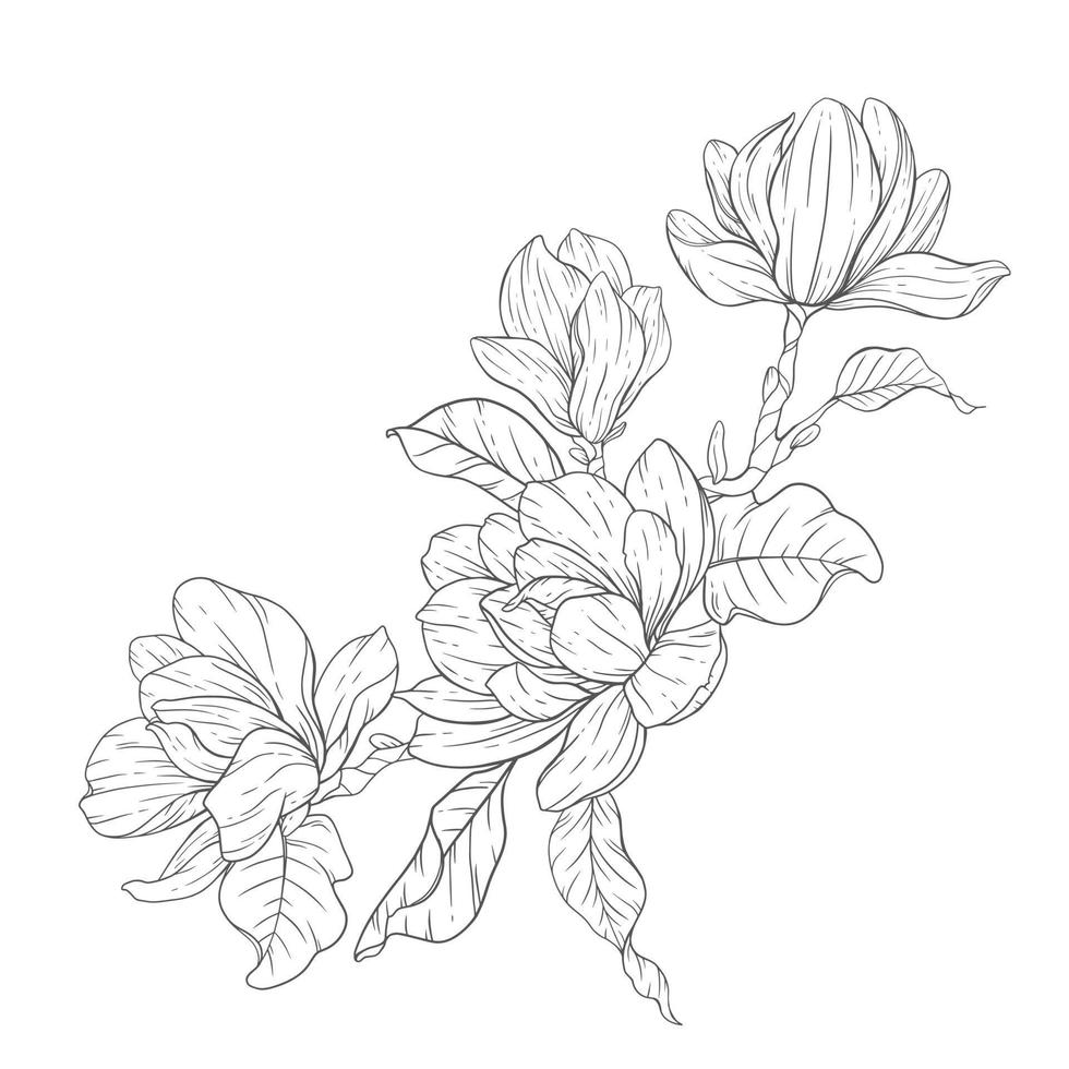 Blumen- Linie Kunst. Magnolie Gliederung Blumen zum Blumen- Färbung Seiten, minimalistisch modern Hochzeit Einladungen vektor