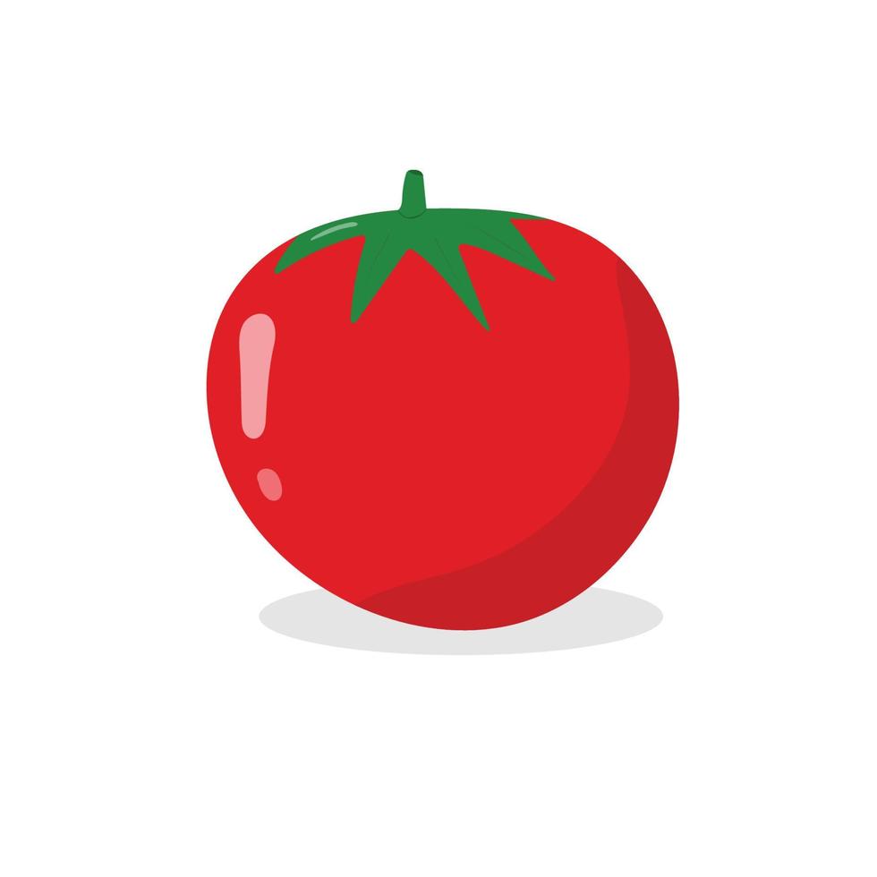 Tomate rot frisch Farbe mit Blätter und Schatten. isoliert Vektor auf Weiß Hintergrund.