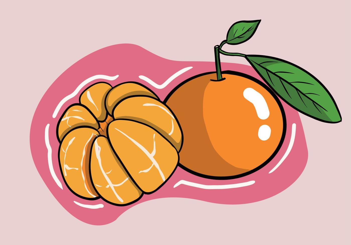 hand dragen uppsättning av färsk mandarin eller mandarin frukt isolerat på bakgrund. vektor illustration.