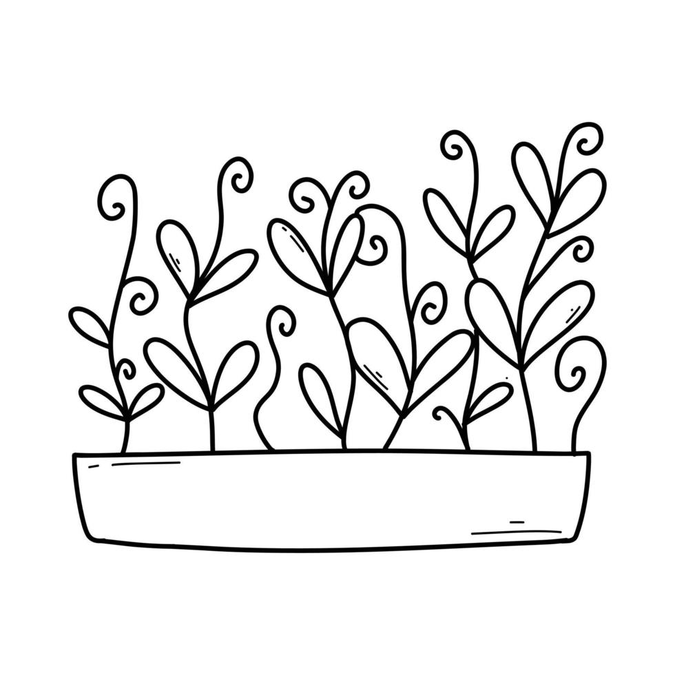 Hand gezeichnet Microgreens im Töpfe. Vektor Illustration im Gekritzel Stil isoliert auf Weiß Hintergrund. Mikro grün. Rüben, Kopfsalat, Kohl, Sauerampfer, Zwiebel, Rettich, Rucola, Erbsen. wachsend Superfood beim heim.