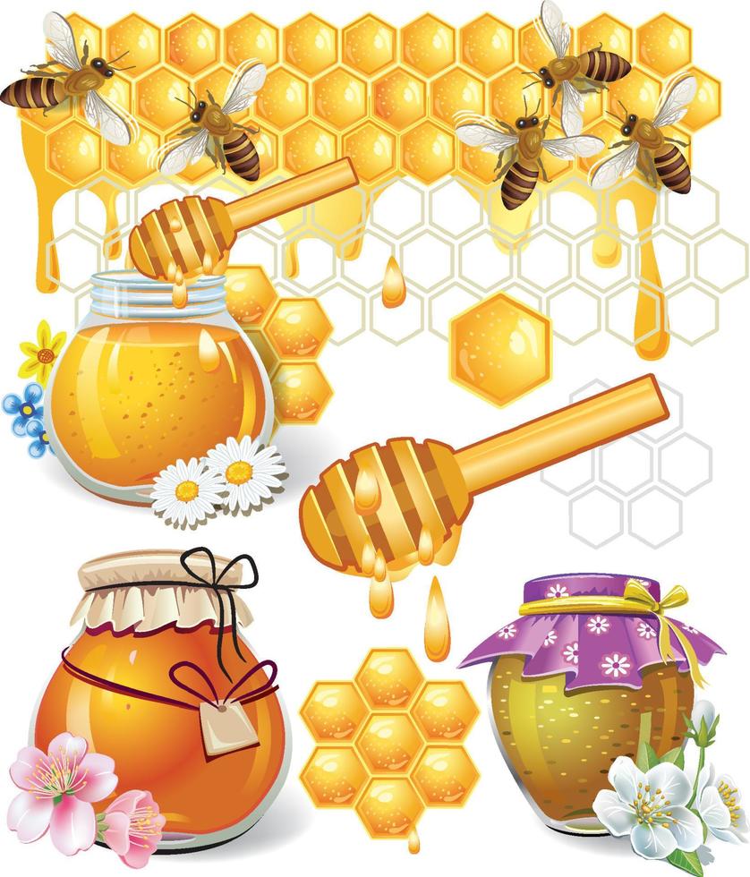 einstellen von Bilder auf das Thema von Honig Bienen, Waben, Gläser von frisch Honig vektor
