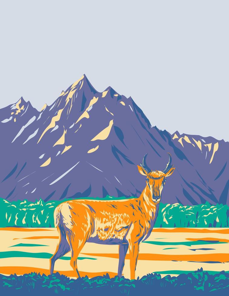 Gabelbock oder amerikanisch Antilope im großartig Teton National Park Wyoming wpa Poster Kunst vektor