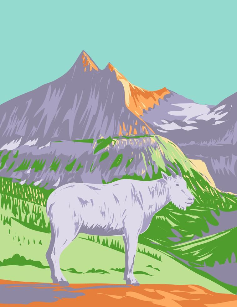 Berg Ziege oder das felsig Berg Ziege im Gletscher National Park Montana wpa Poster Kunst vektor