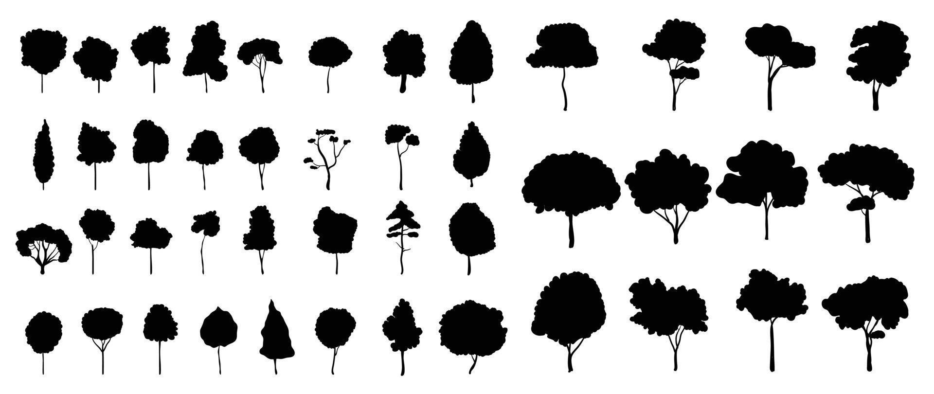 uppsättning av träd silhuett vektor. skog träd, djungel växter, natur och ekologi relaterad vektor symbol hand dragen samling isolerat på vit bakgrund. design för logotyp, klistermärke, varumärke, konstverk.