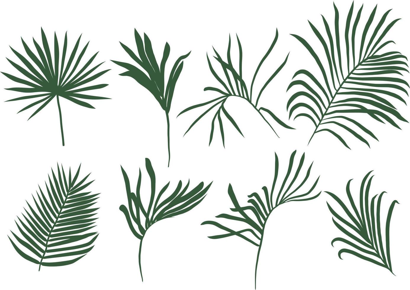 Palme Blätter Silhouette Sammlung Vektor Illustration. tropisch Palme Bäume Silhouette isoliert auf Weiß Hintergrund.