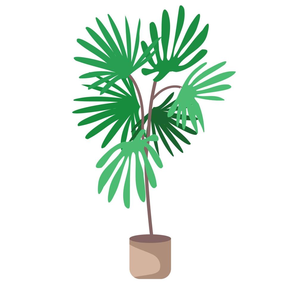 Vektor Illustration von ein eingetopft Palme Baum im ein modern Pflanzer