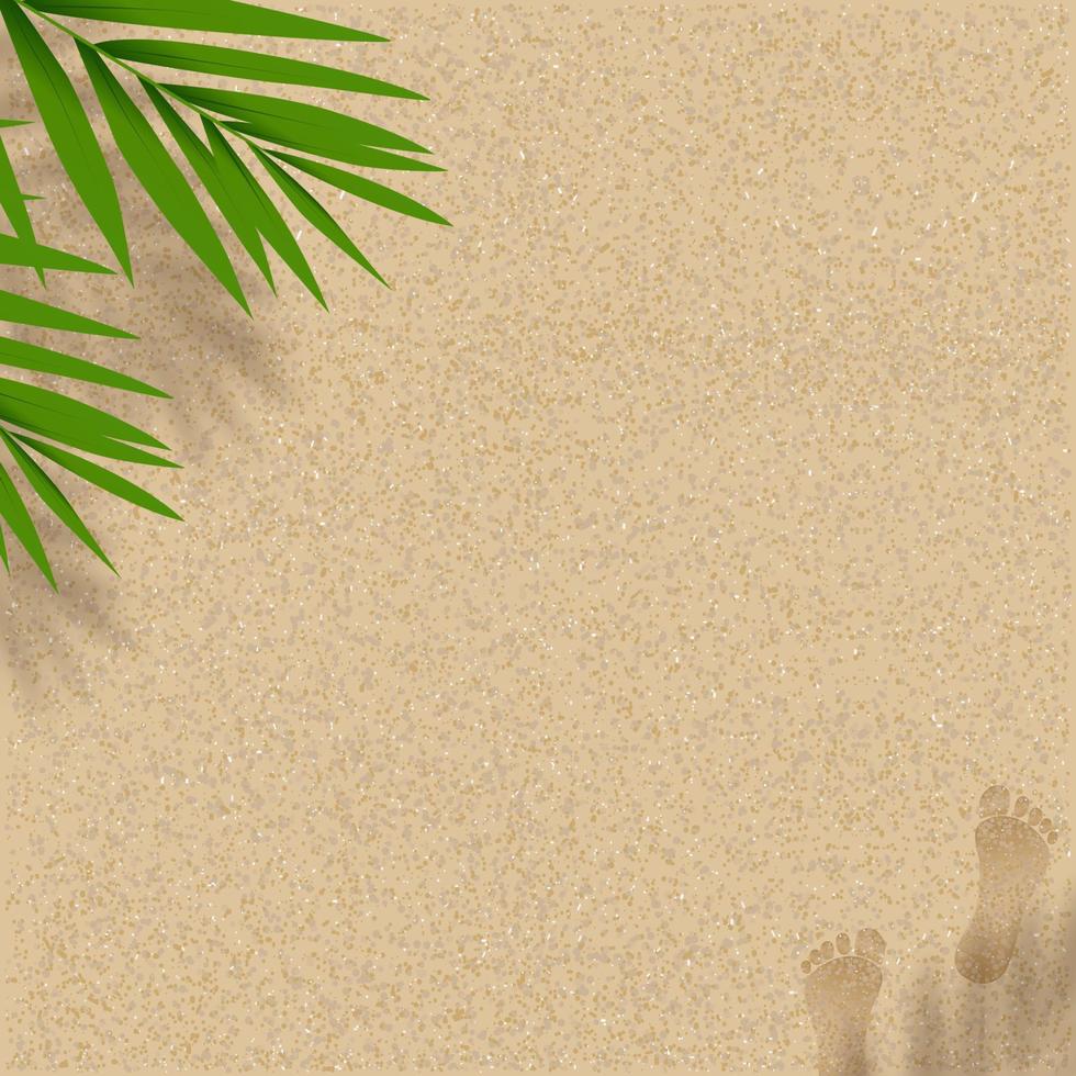 sandig Strand Textur Hintergrund mit Kokosnuss Palme Blätter Schatten und Fußabdrücke, Vektor Horizont Hintergrund Hintergrund mit barfuß und tropisch Blatt Silhouette auf braun Strand Sand Düne zum Sommer- Strand