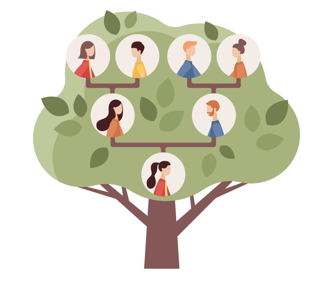 familj genealogisk träd. föräldrar och farföräldrar, barn. genealogi, stamtavla. genealogisk begrepp. vektor platt illustration