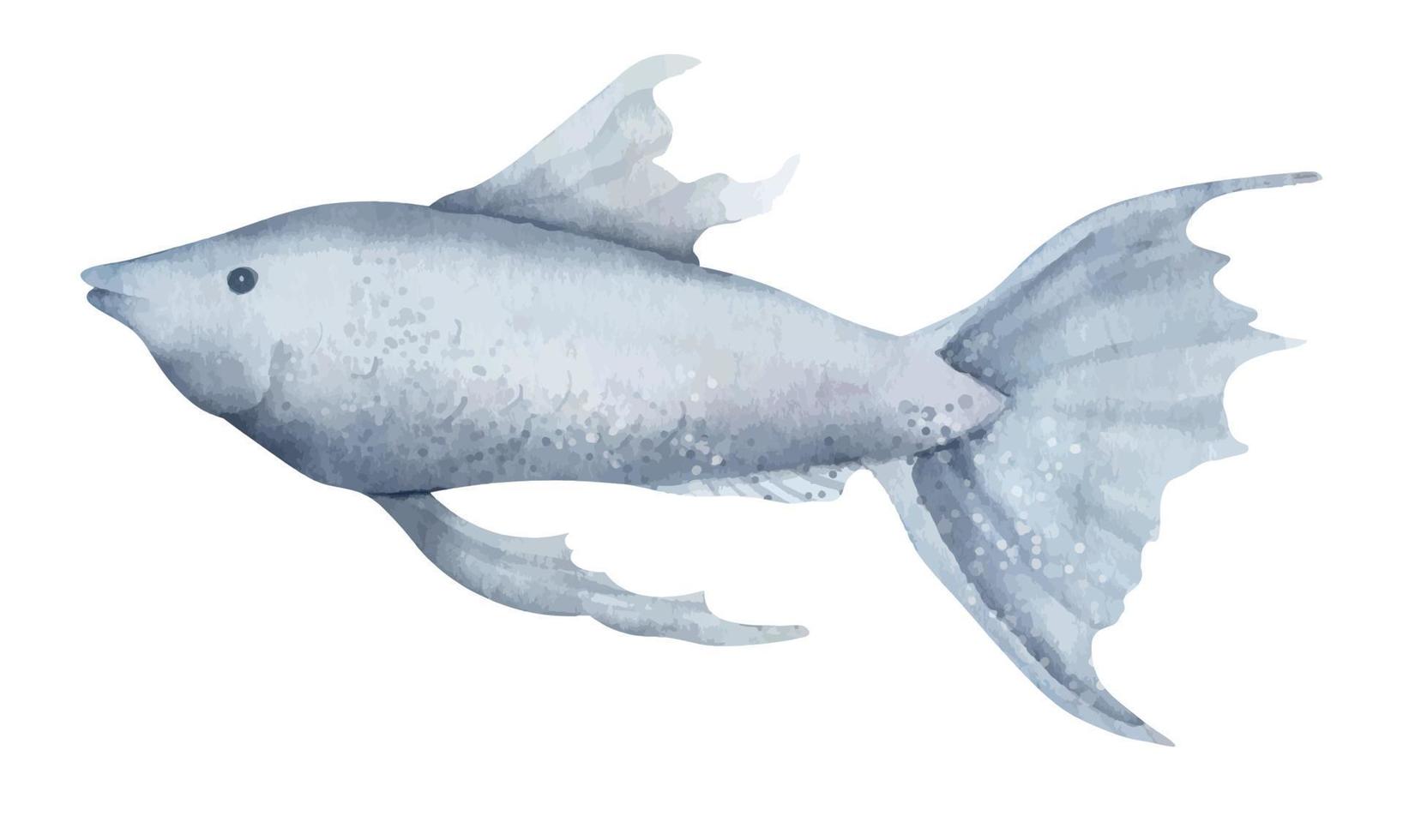 Aquarell Guppy Fisch. Hand gezeichnet Illustration von Aquarium Haustier auf isoliert Hintergrund. Zeichnung von unter Wasser tropisch Tier. bunt skizzieren von exotisch Marine Kreatur zum Symbol oder Logo im Blau Farben vektor