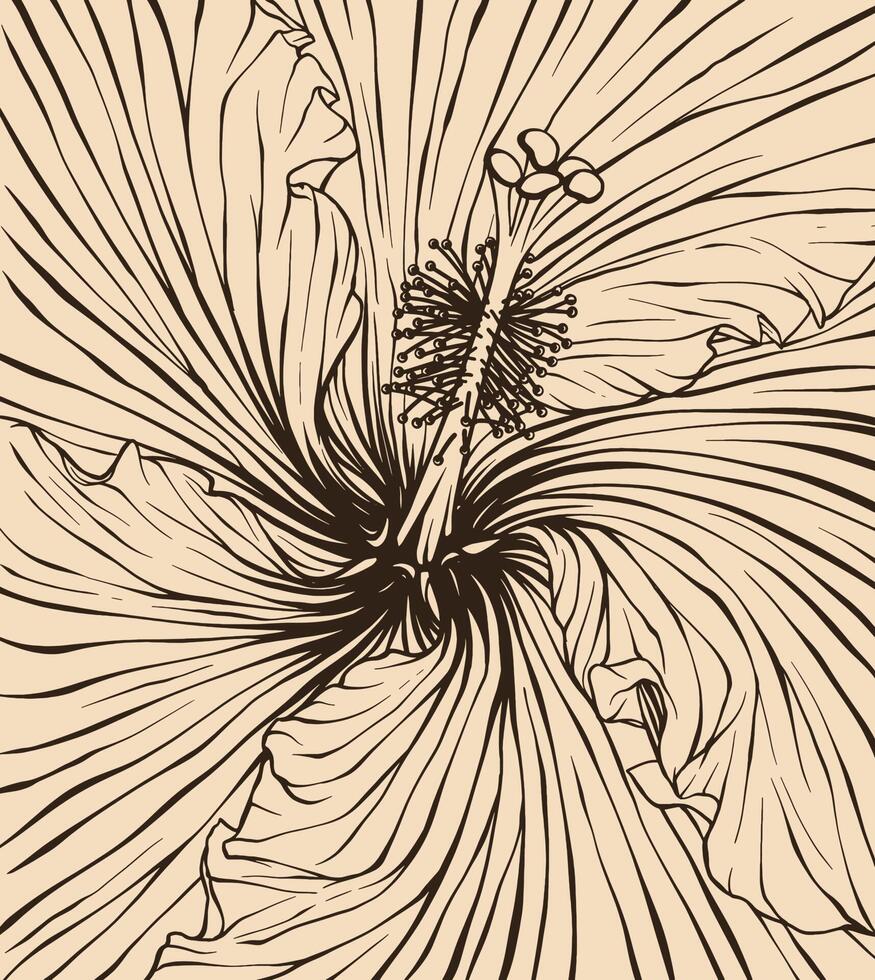 bakgrund hibiskus blomma vektor illustration med linje konst