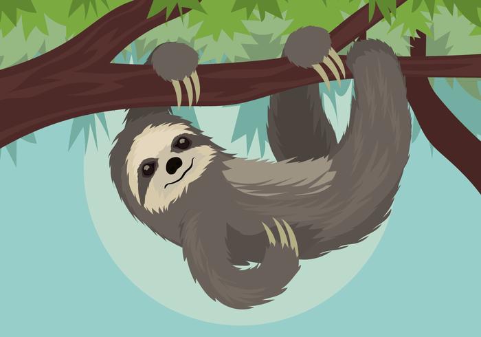 sloth vektor illustration