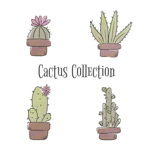 kaktusuppsättning vektor