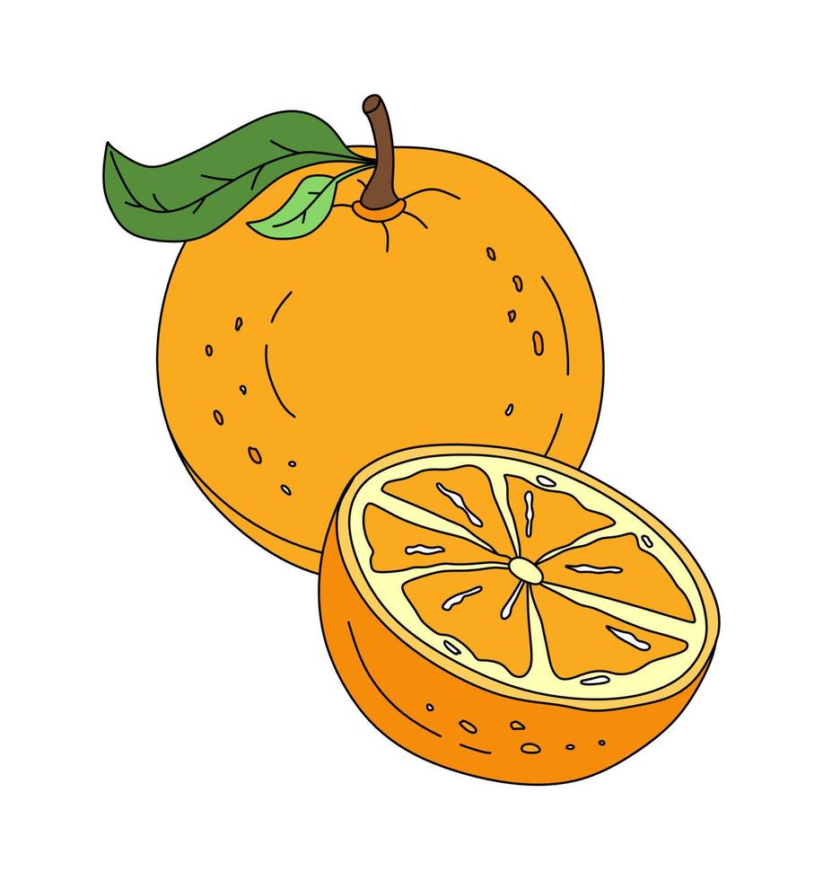 Orange Gekritzel linear Vektor Farbe Illustration isoliert auf Weiß Hintergrund