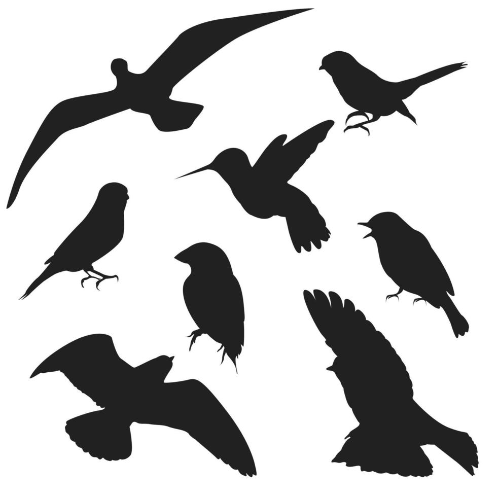 vektor samling av fågel silhuetter i platt stil av olika stilar och former, platt fågel vektor isolerat på vit bakgrund