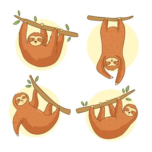 Handdragen Sloth Vector