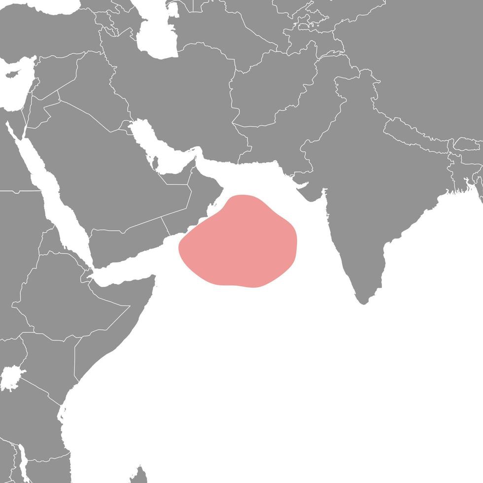Arabisches Meer auf der Weltkarte. Vektor-Illustration. vektor