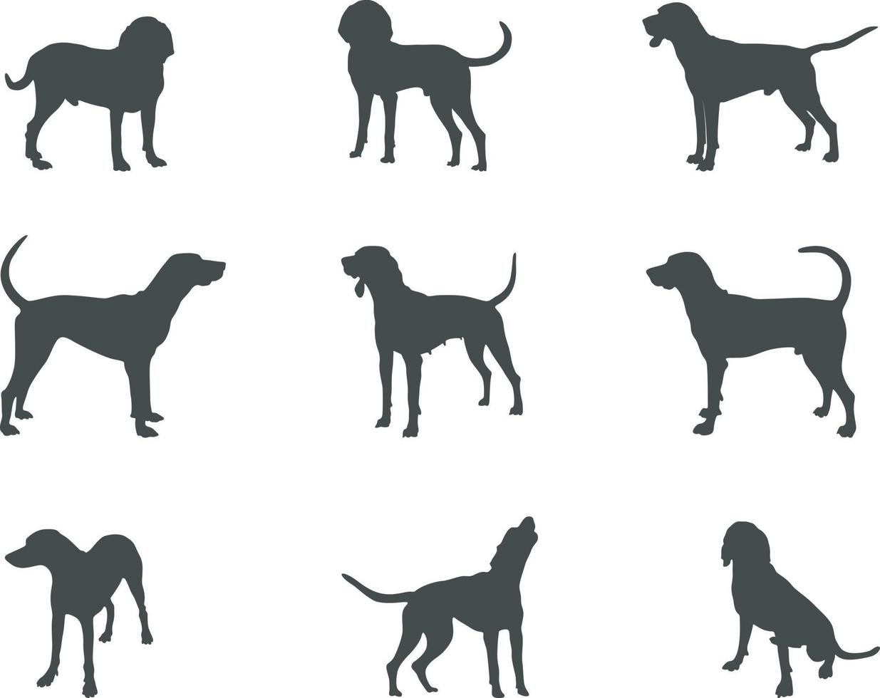 amerikanisch Englisch Coonhound Hund Silhouetten, amerikanisch Englisch Coonhound Silhouette, amerikanisch Englisch Coonhound SVG. amerikanisch Englisch Coonhound Hund Vektor