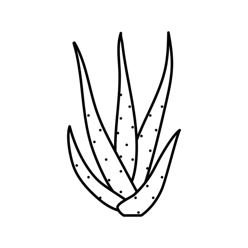 Grün Aloe vera Linie Symbol Vektor Illustration