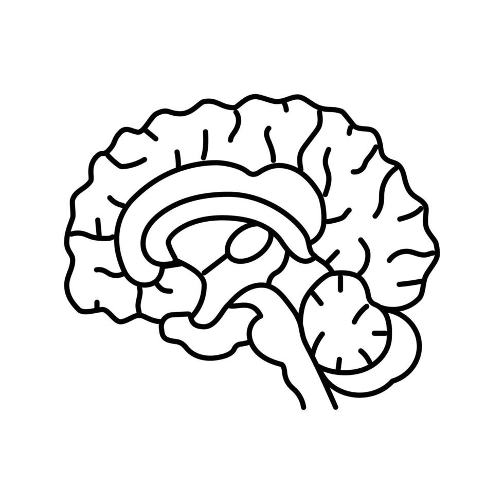 Neurologie Gehirn Linie Symbol Vektor Illustration