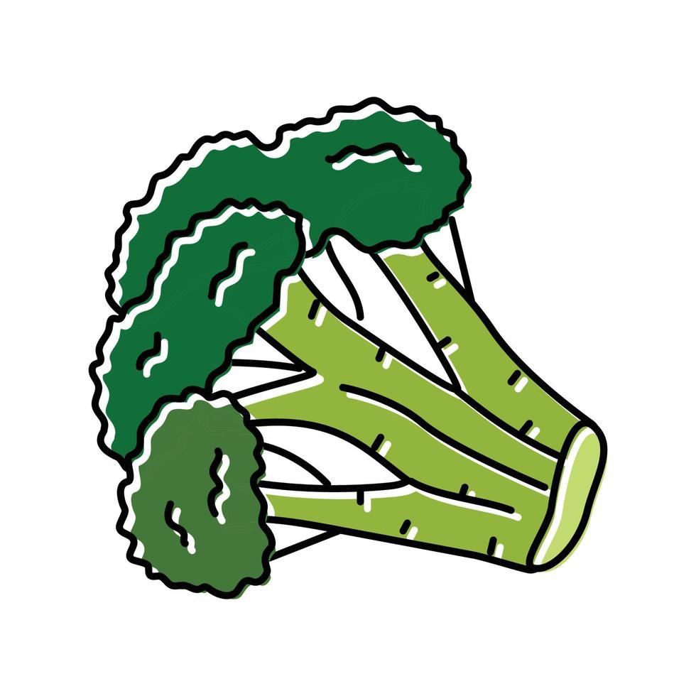 Brokkoli Kohl Farbe Symbol Vektor Illustration