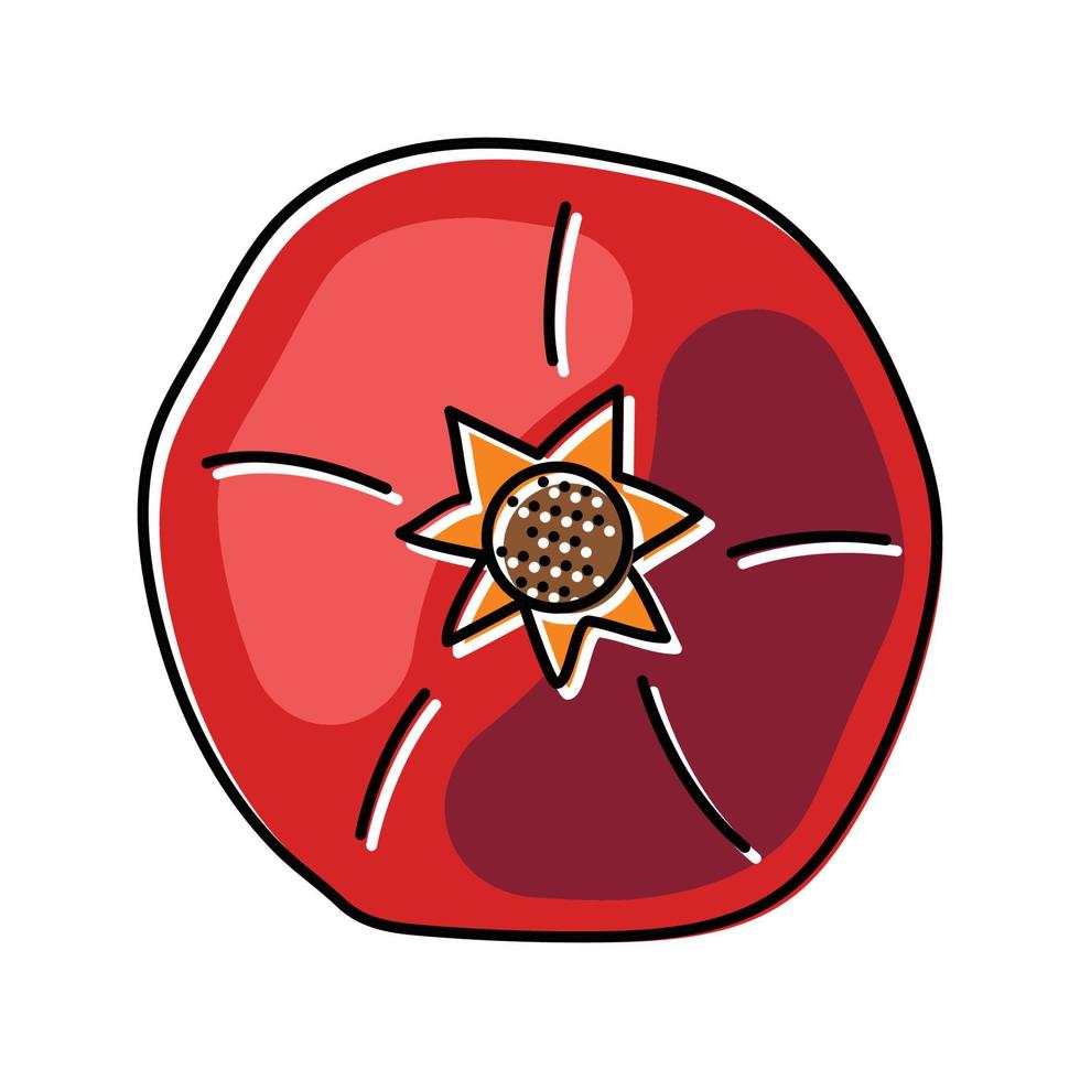 Granatapfel Essen Obst Farbe Symbol Vektor Illustration