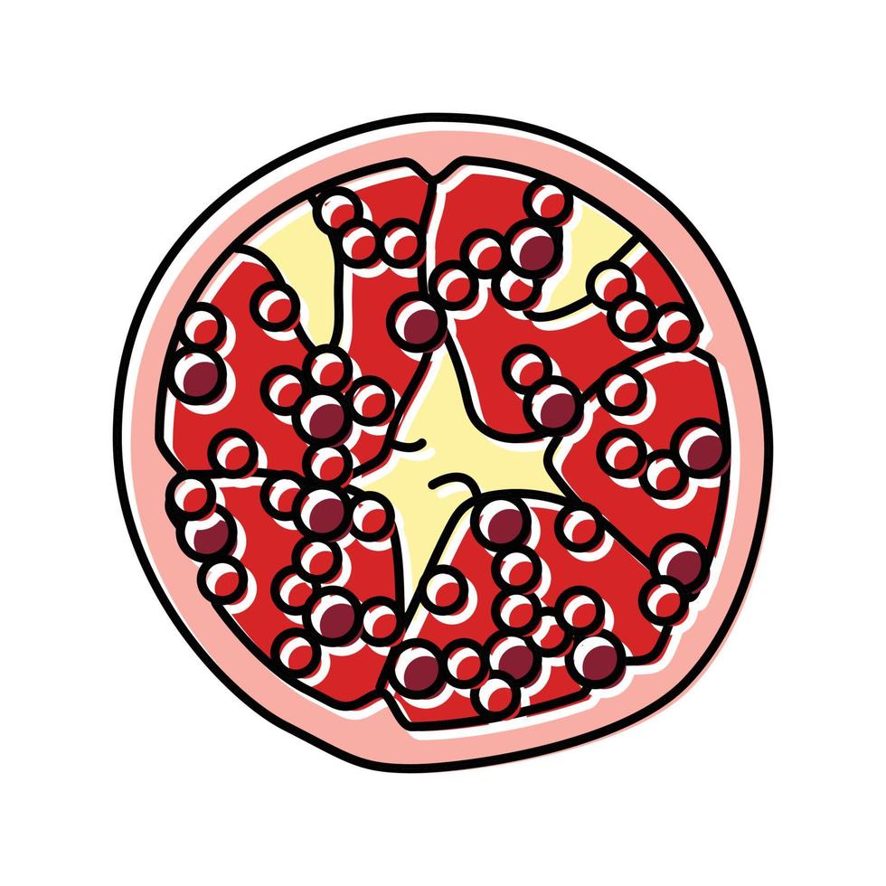 Schnitt ganze Granatapfel Farbe Symbol Vektor Illustration