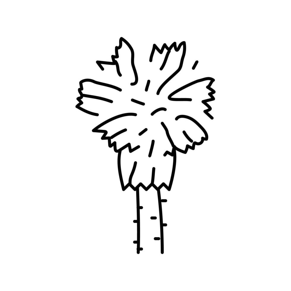 Mexikaner Ventilator Palme Baum Linie Symbol Vektor Illustration
