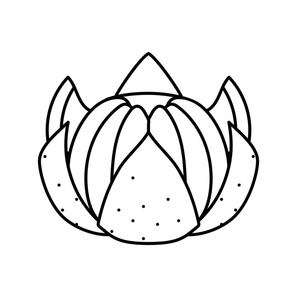 clementine mandarin linje ikon vektor illustration