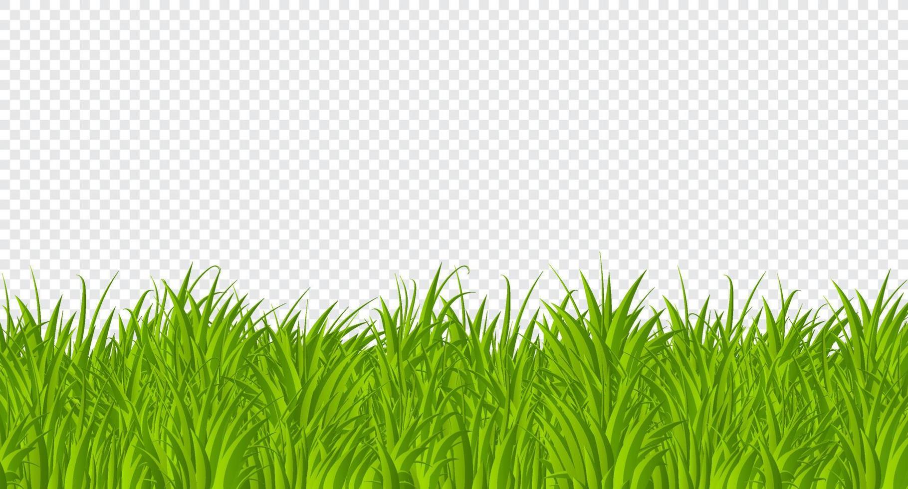 grünes Gras Grenze flaches Design. karikatur sommer grünes gras natur landschaft feld. Vektor-Illustration vektor