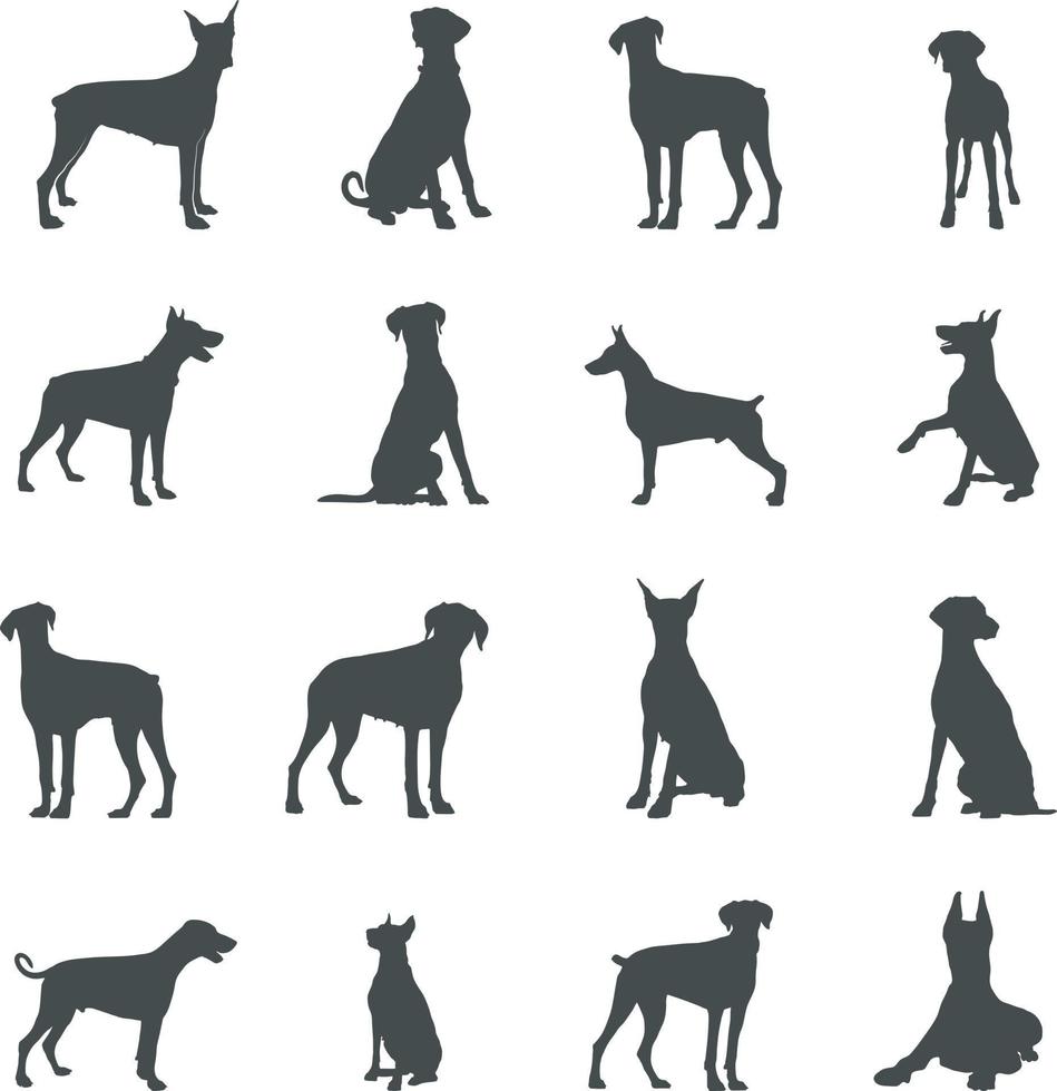 dobermann hund silhuetter, dobermann silhuett, dobermann svg, dobermann vektor