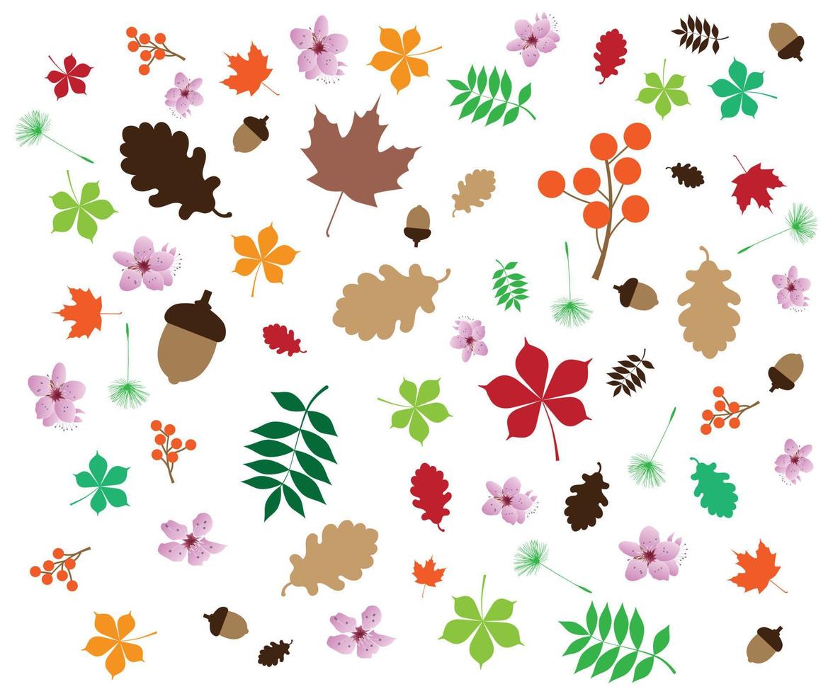 skön färgrik löv och blommor mönster vektor illustration för höst tema och bakgrund.